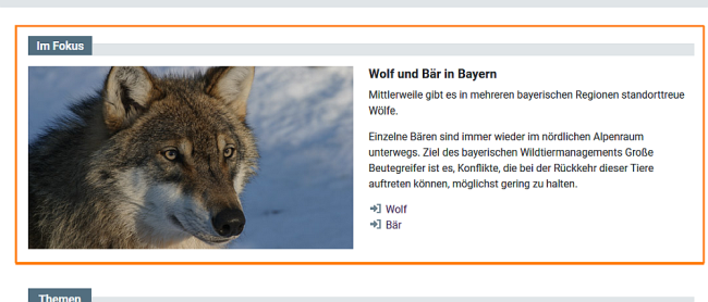 Der Bereich 'Im Fokus'.